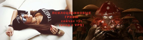 прущая мука Абаза